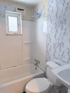 a bathroom with a toilet and a bathtub