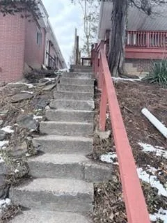 a view of a yard with plants