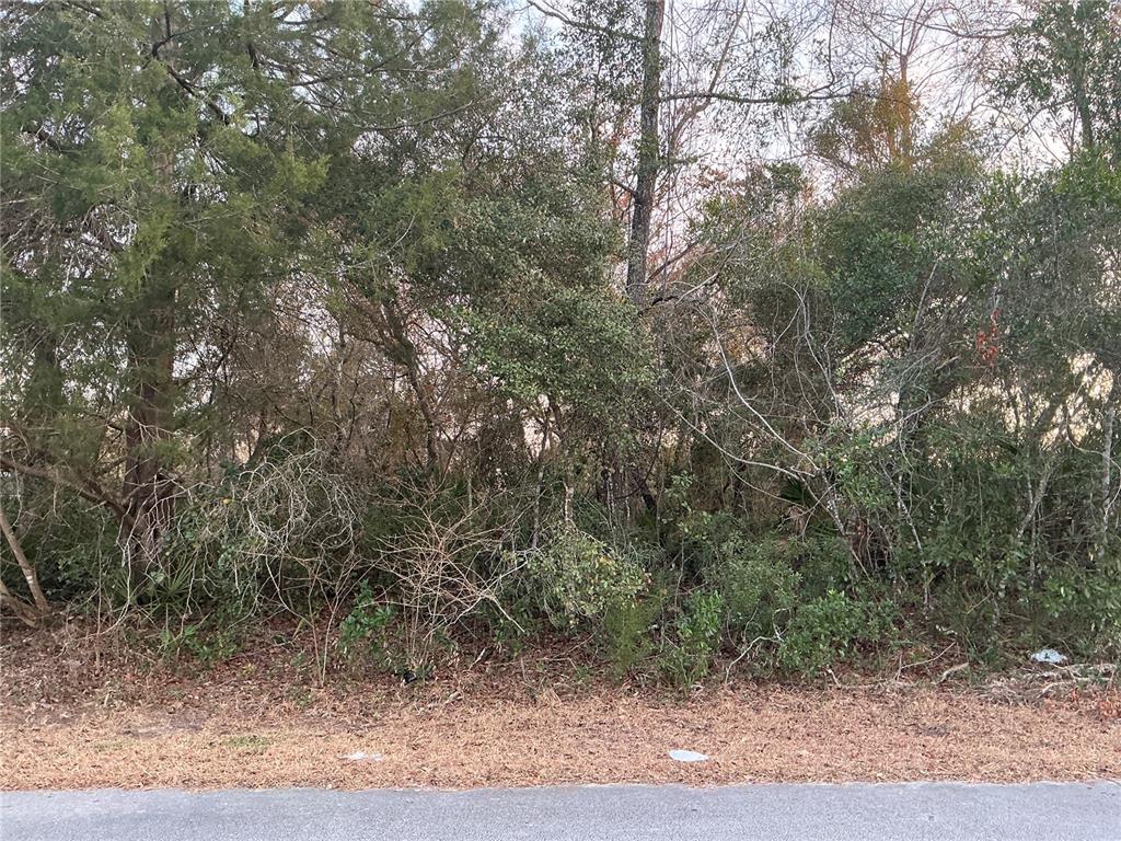 Southwest 138th Street Ocala, FL 34473 - Photo 1 of 1 Gallery Image 1