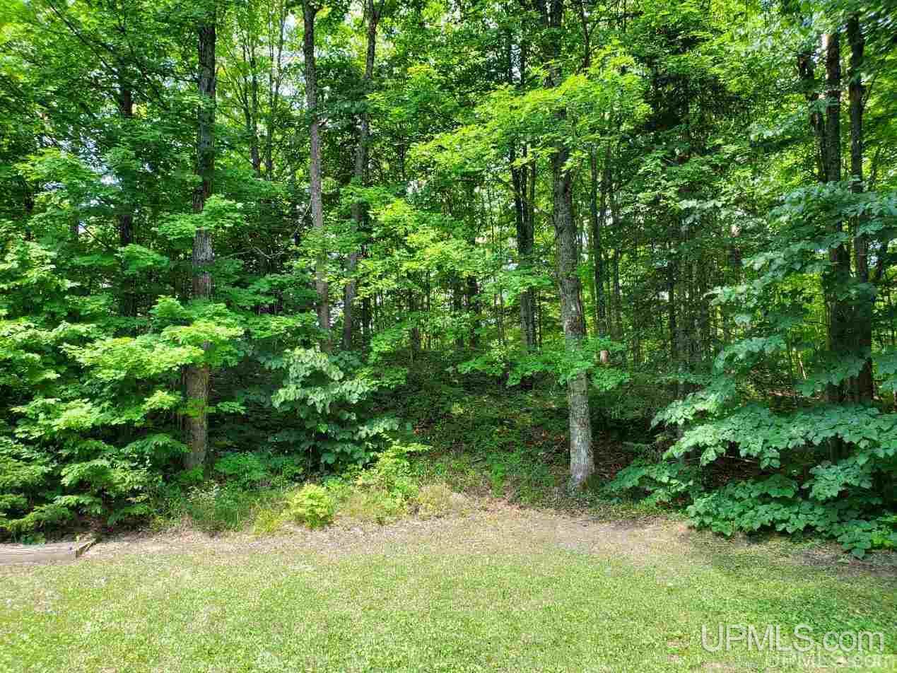 3963 Magnusson Road Chatham, MI 49816 - Photo 29 of 32