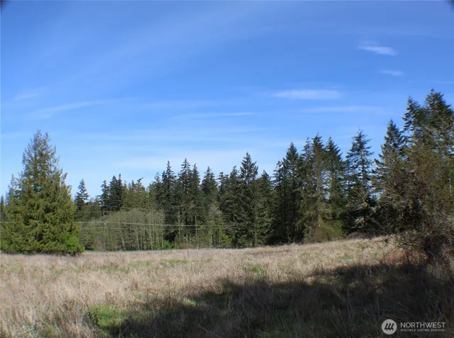 a view of a yard with trees in the background