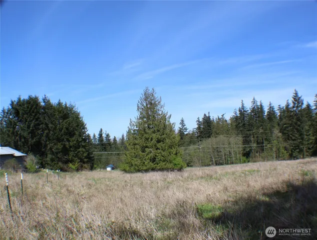 a view of a dry yard with trees in the background