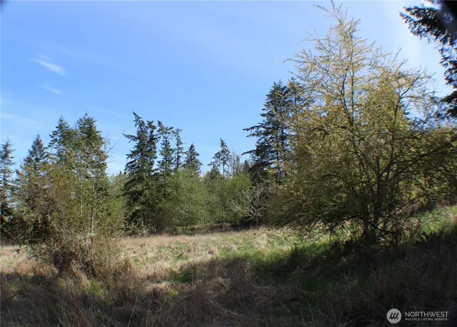 a view of a yard with a tree