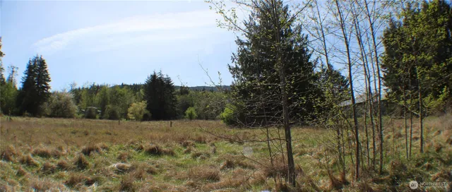 a view of a covered with snow in the background