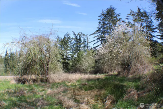 a view of a field of grass and trees