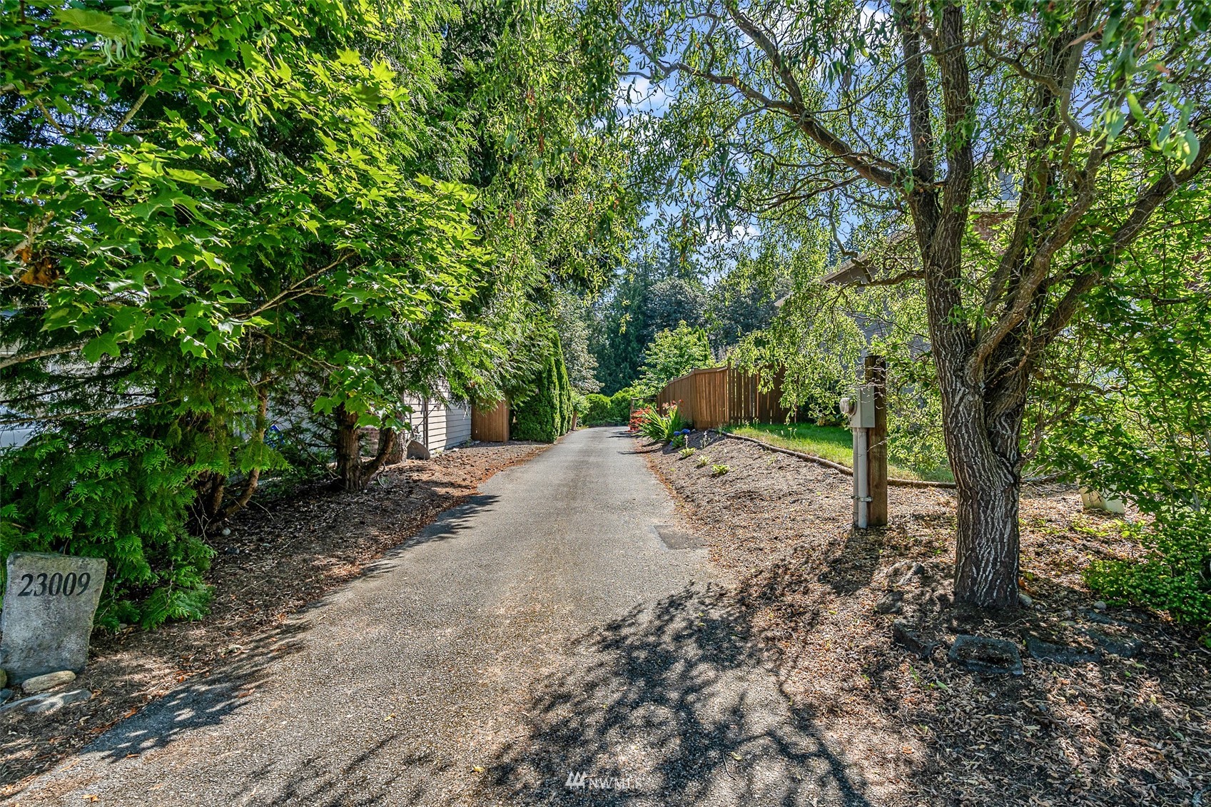 23009 21st Avenue Southeast Bothell, WA 98021 - Photo 2 of 40 a view of a tree in the middle of a yard