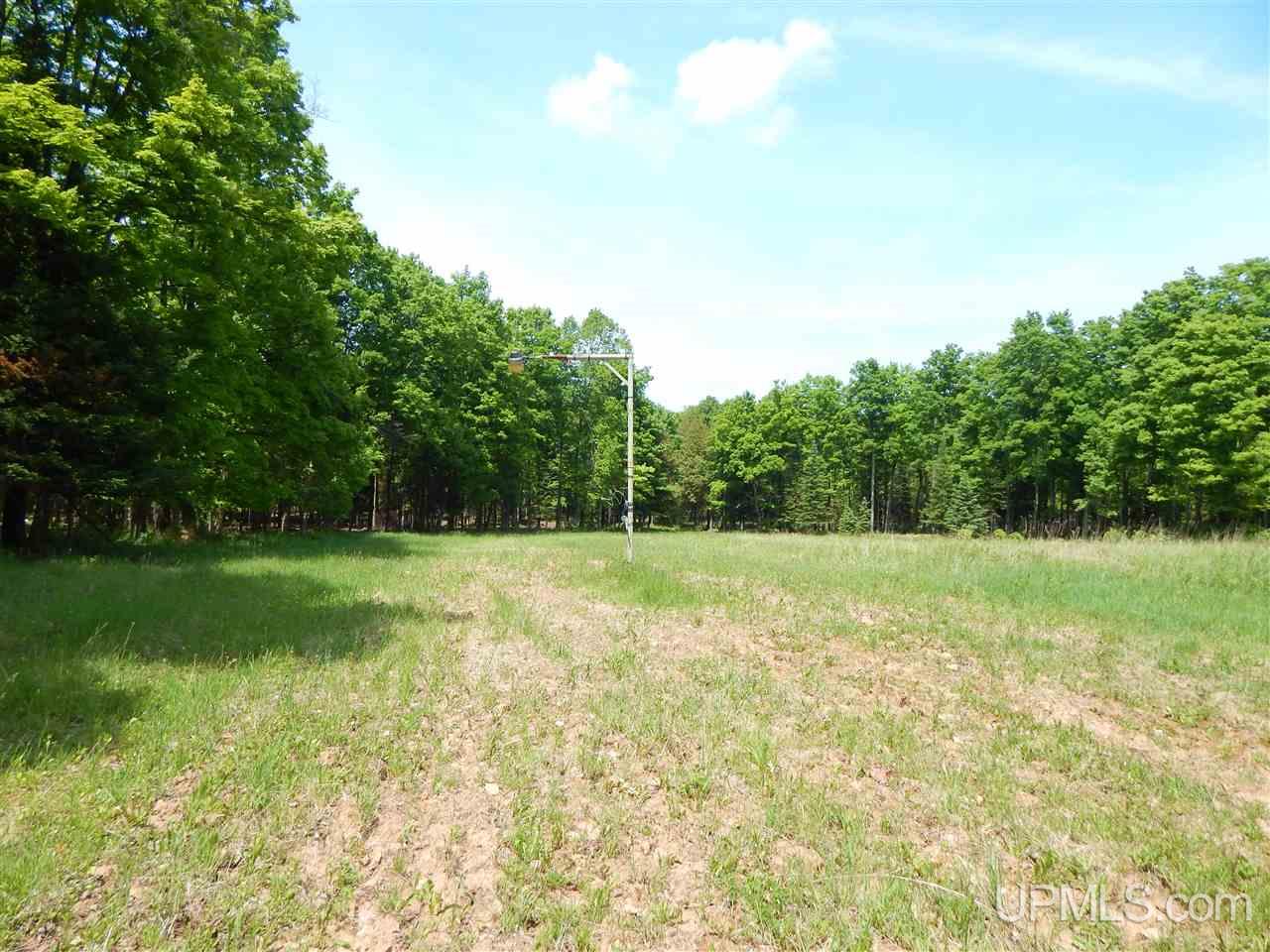 16166 Co Road Cornell, MI 49818 - Photo 13 of 20