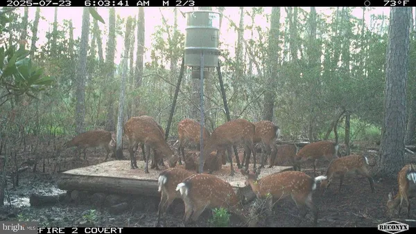 $220,000 | 2257 Wingate Bishops Head Road, Wingate, MD 21675