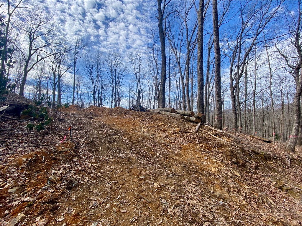 Old Chestnut Mountain Road Newland, NC 28657 - Photo 20 of 33