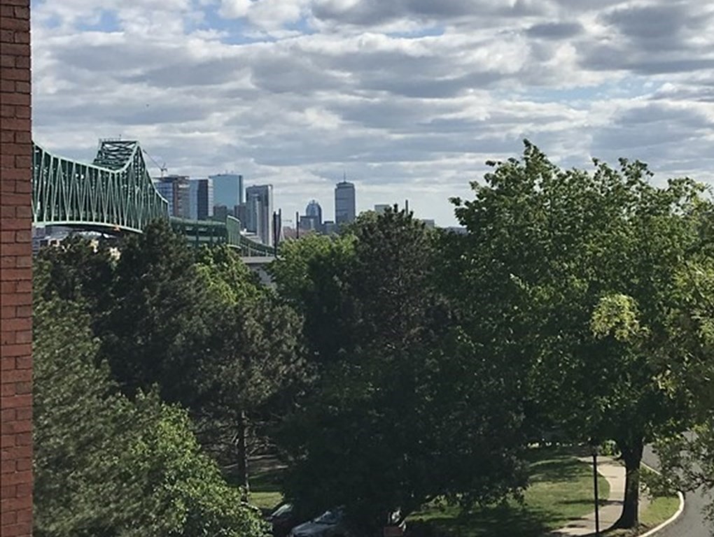 100 Captains Row, Unit 301 Chelsea, MA 02150 - Photo 19 of 23 a view of a city with lush green forest