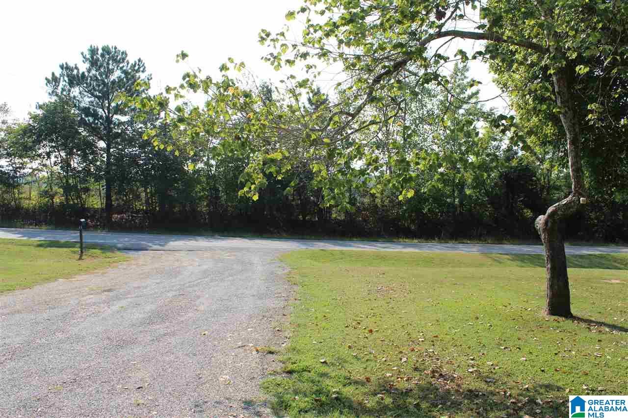 444 Highway 27 Oneonta, AL 35121 - Photo 38 of 39
