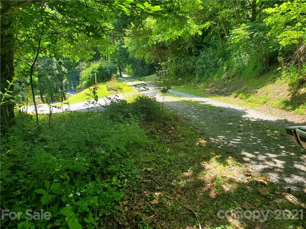 32 Fox Run Road, Unit A 32 Waynesville, NC 28785 - Photo 6 of 6 a view of yard with green space