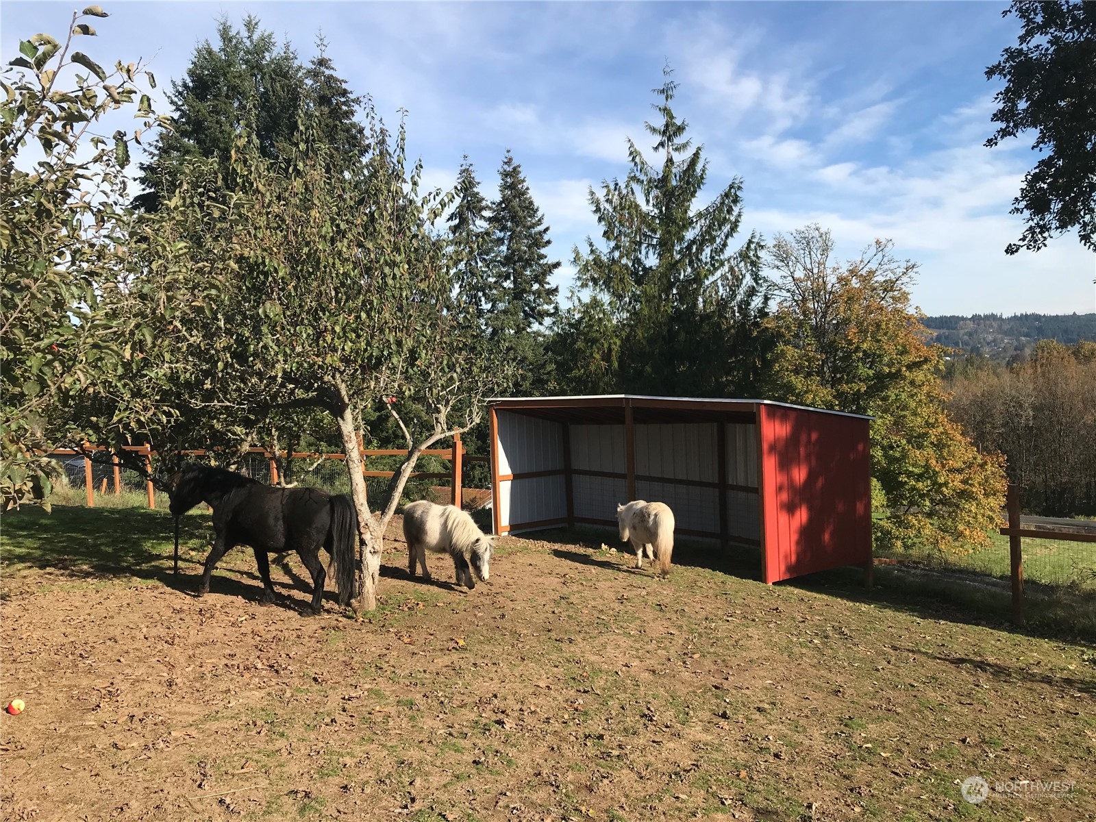 1053 Shorey Road Chehalis, WA 98532 - Photo 29 of 39 a house view with a outdoor space