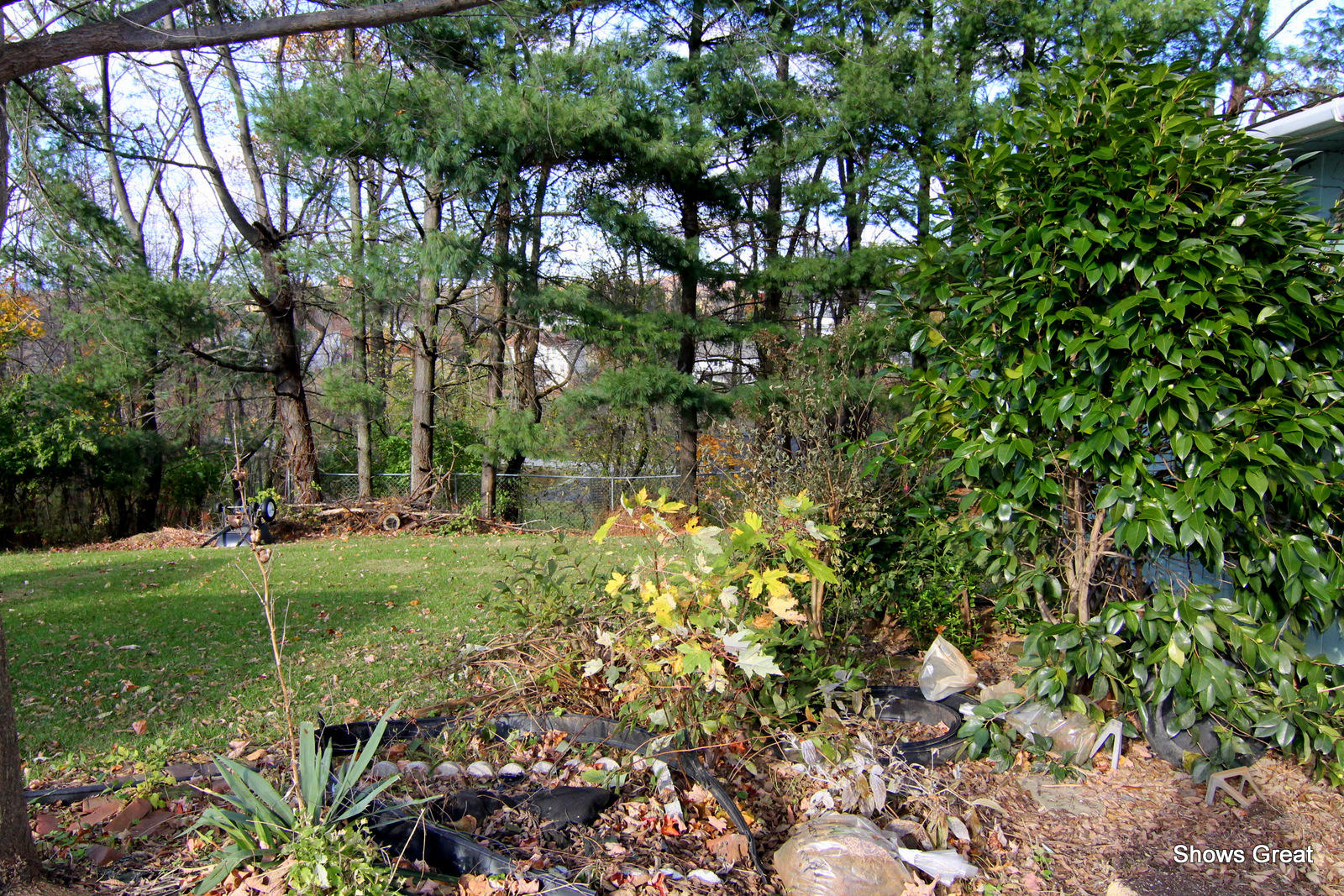 234 Apple Tree Road Roanoke, VA 24019 - Photo 32 of 73 IMG_8622
