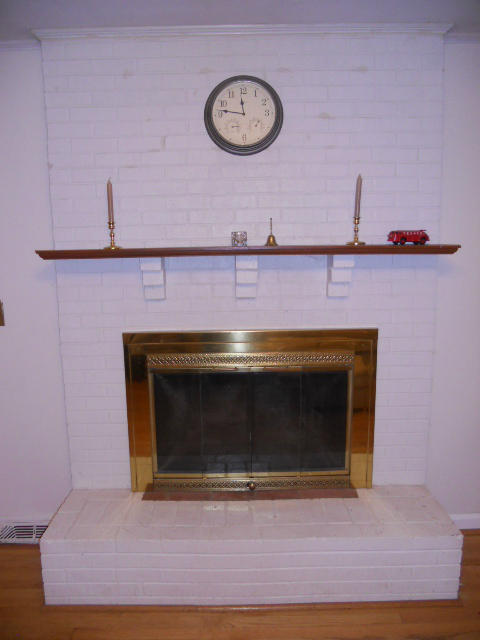 234 Apple Tree Road Roanoke, VA 24019 - Photo 46 of 73 Fireplace in Great Room