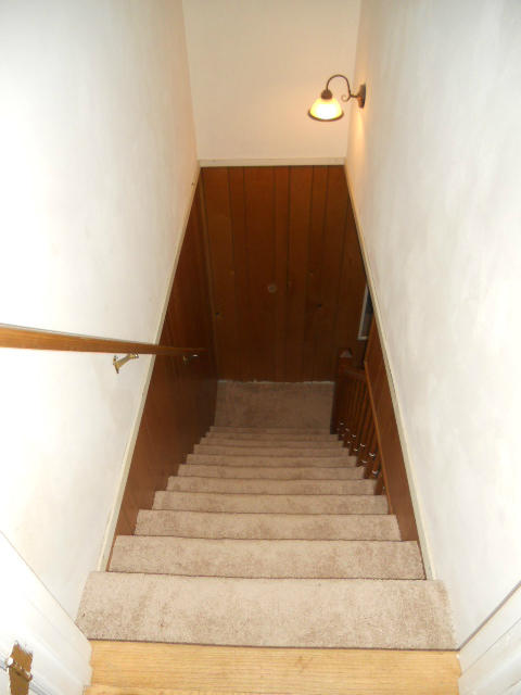 234 Apple Tree Road Roanoke, VA 24019 - Photo 54 of 73 Stairs to Lower Level