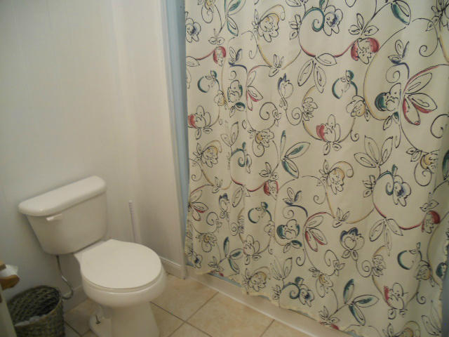 234 Apple Tree Road Roanoke, VA 24019 - Photo 56 of 73 Downstairs Bathroom Shower