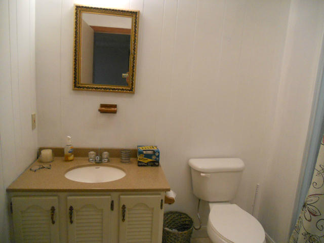 234 Apple Tree Road Roanoke, VA 24019 - Photo 58 of 73 Downstairs Bathroom