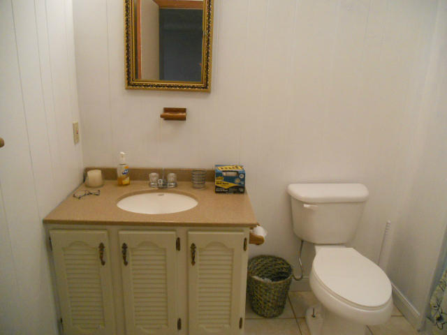 234 Apple Tree Road Roanoke, VA 24019 - Photo 59 of 73 Bathroom Downstairs