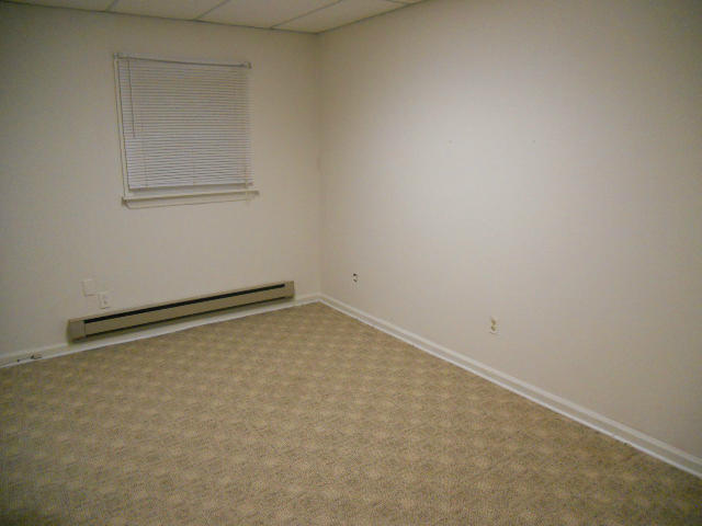 234 Apple Tree Road Roanoke, VA 24019 - Photo 61 of 73 Downstairs Bedroom-Other View