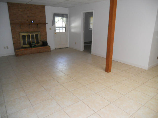 234 Apple Tree Road Roanoke, VA 24019 - Photo 62 of 73 Family Room Fireplace and Door in Lower