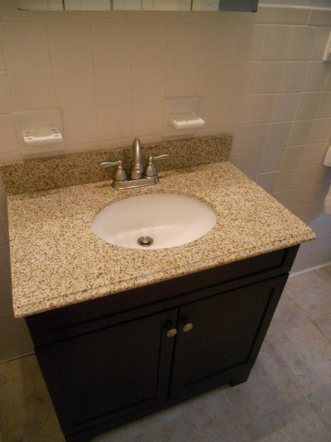234 Apple Tree Road Roanoke, VA 24019 - Photo 72 of 73 Hall Bathroom New Vanity