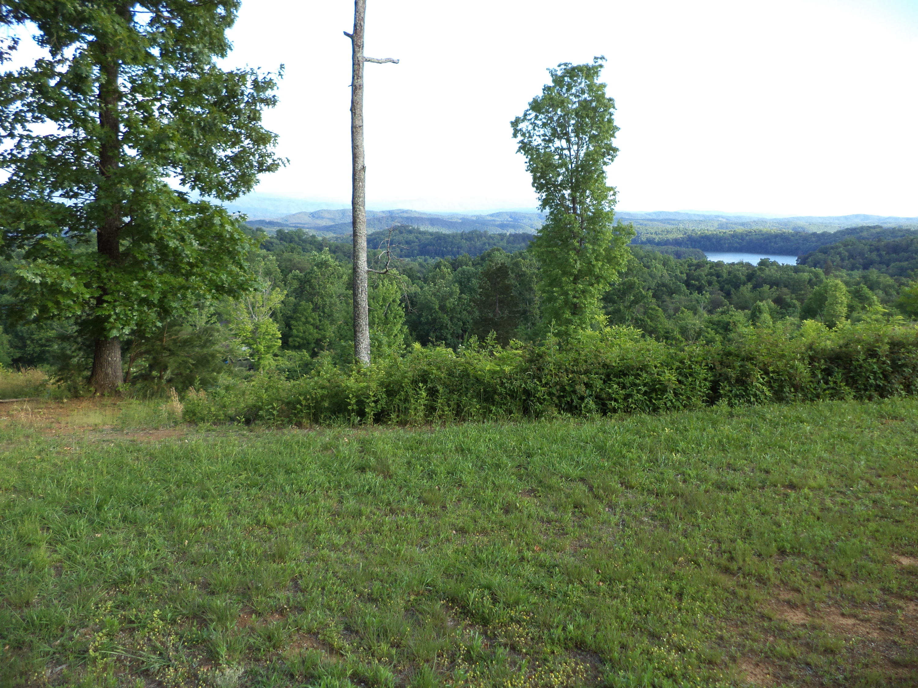 211 Smokey Road Maryville, TN 37801 - Photo 5 of 11 DSC00328