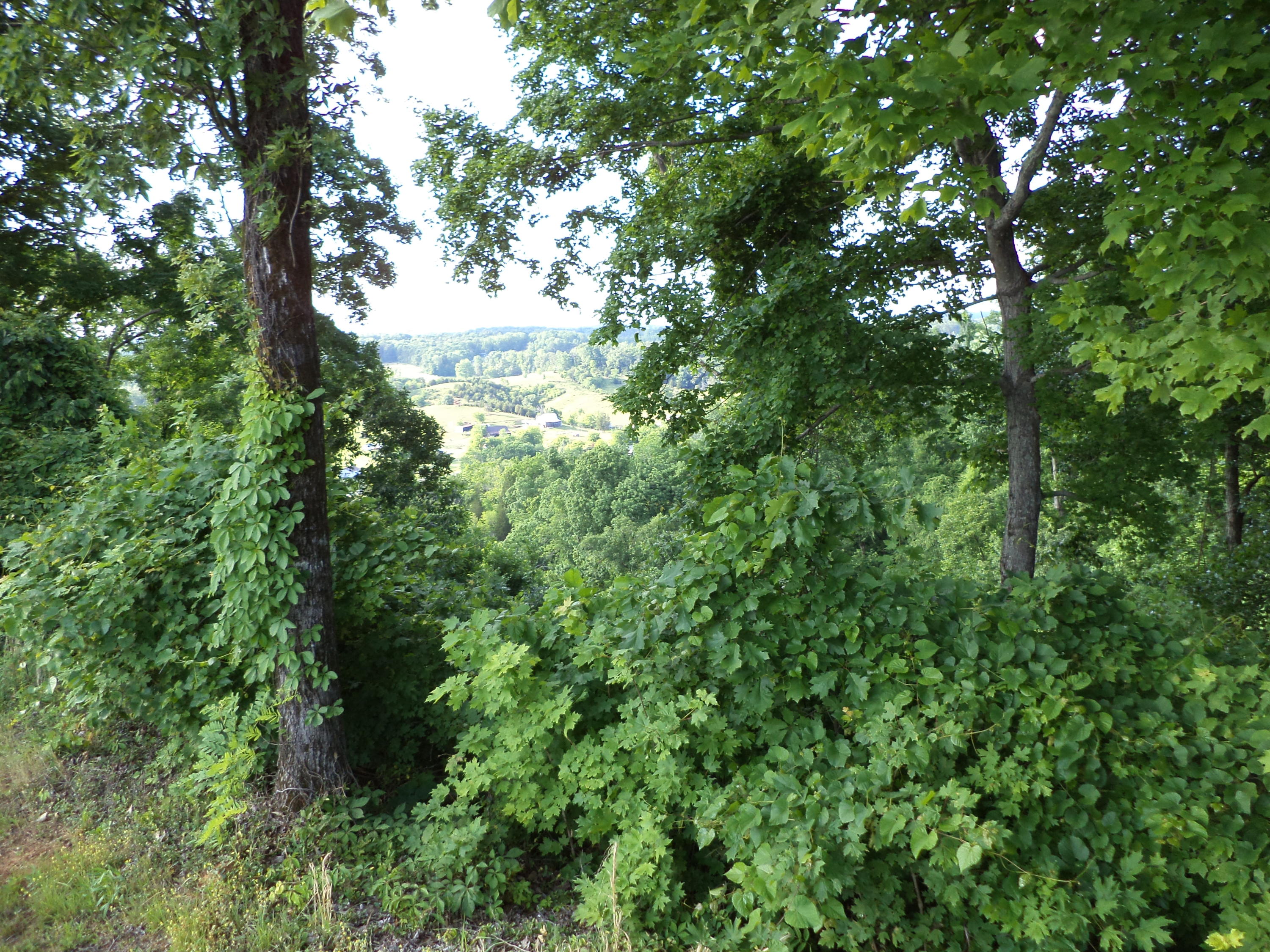 211 Smokey Road Maryville, TN 37801 - Photo 7 of 11 DSC00326