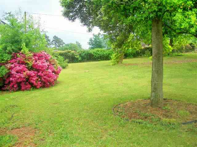 104 State Rd S-42-9700 Inman, SC 29349 - Photo 23 of 25 Gallery Image 23