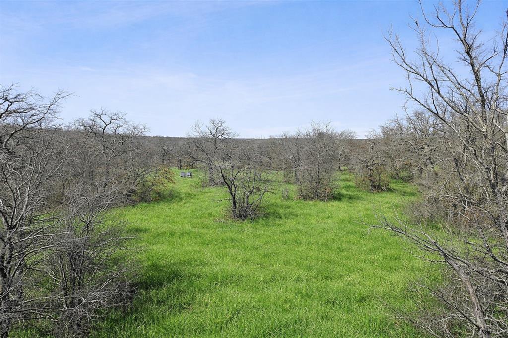 Tbd Tbd Cr-1990 Chico, TX 76431 - Photo 11 of 26 a view of a back yard