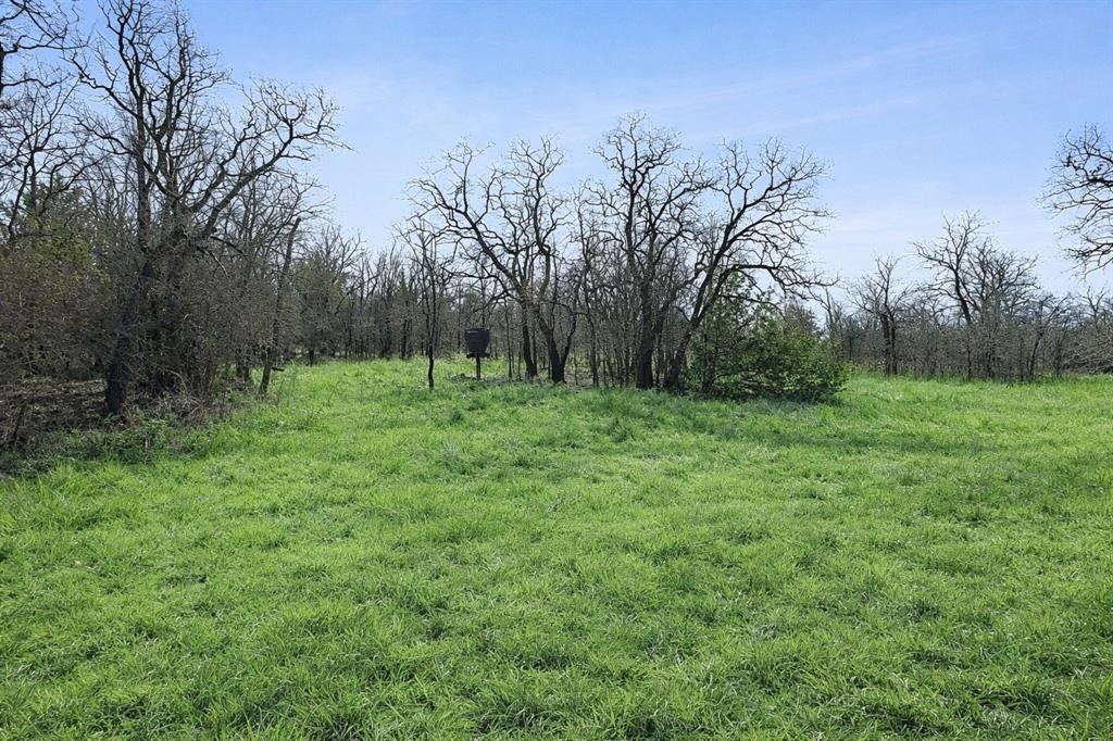 Tbd Tbd Cr-1990 Chico, TX 76431 - Photo 12 of 26 a view of outdoor space with a garden