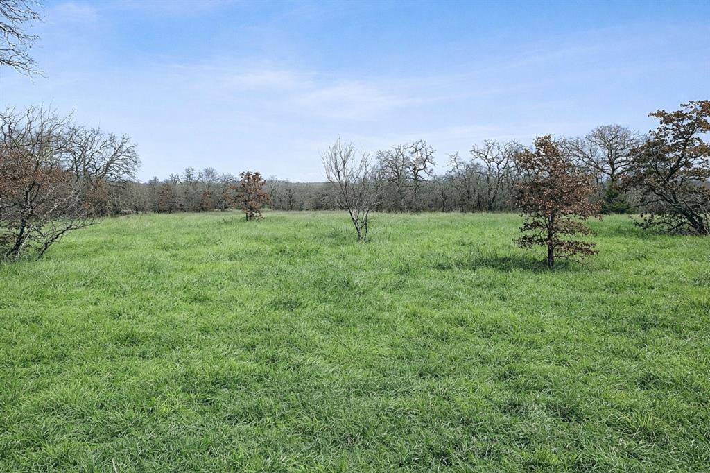 Tbd Tbd Cr-1990 Chico, TX 76431 - Photo 13 of 26 a view of outdoor space with city view
