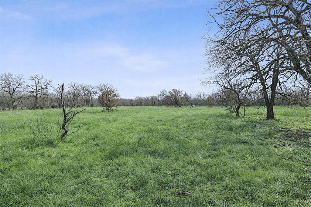 Tbd Tbd Cr-1990 Chico, TX 76431 - Photo 14 of 26 a view of outdoor space with green field and trees