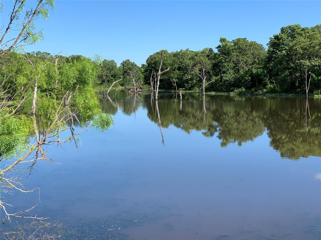 Tbd Tbd Cr-1990 Chico, TX 76431 - Photo 4 of 26 a view of a lake with green landscape