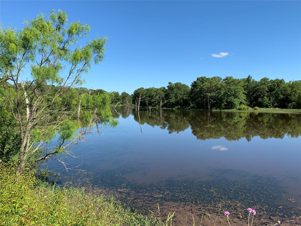 Tbd Tbd Cr-1990 Chico, TX 76431 - Photo 5 of 26 a view of a lake with a lake