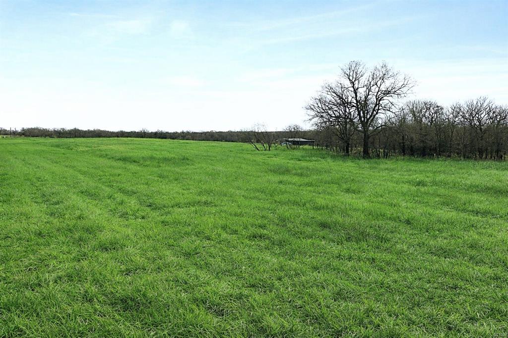 Tbd Tbd Cr-1990 Chico, TX 76431 - Photo 9 of 26 a view of grassy field with grass