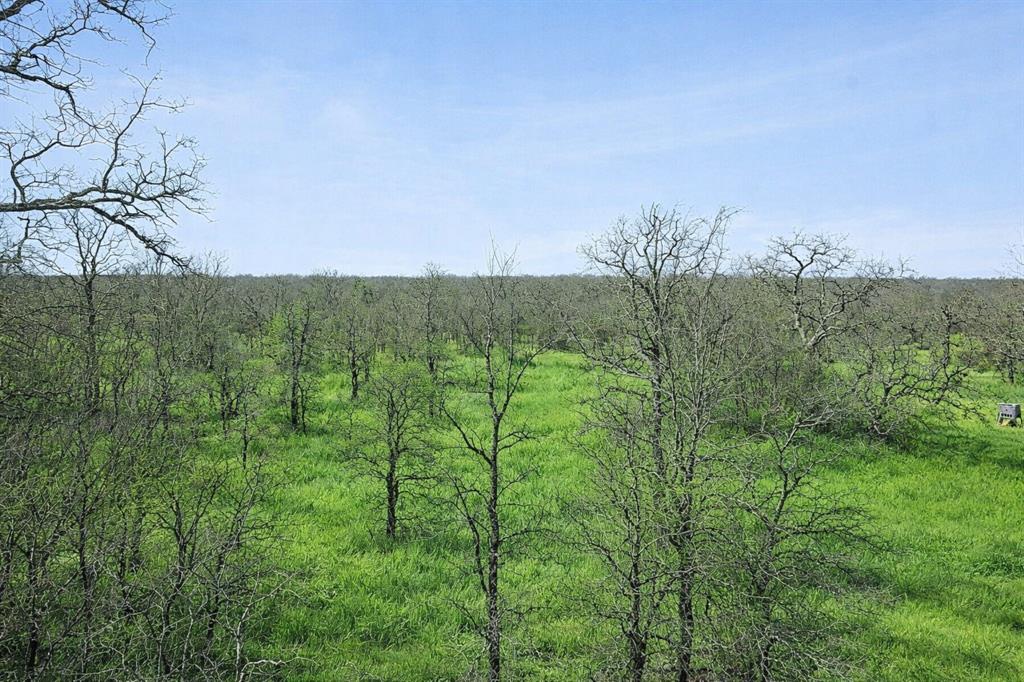 Tbd Tbd Cr-1990 Chico, TX 76431 - Photo 10 of 26 a view of a lush green outdoor space with a lake view