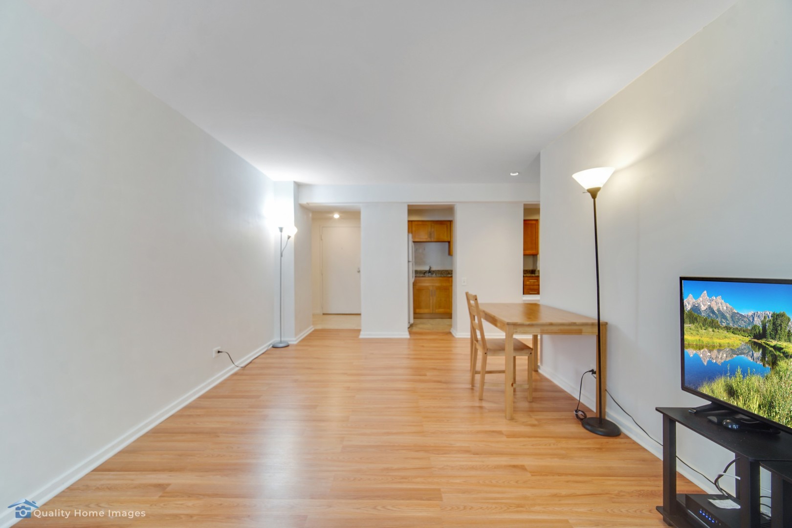40 East 9th Street, Unit 405 Chicago, IL 60605 - Photo 2 of 18 a view of an empty room with wooden floor and a flat screen tv
