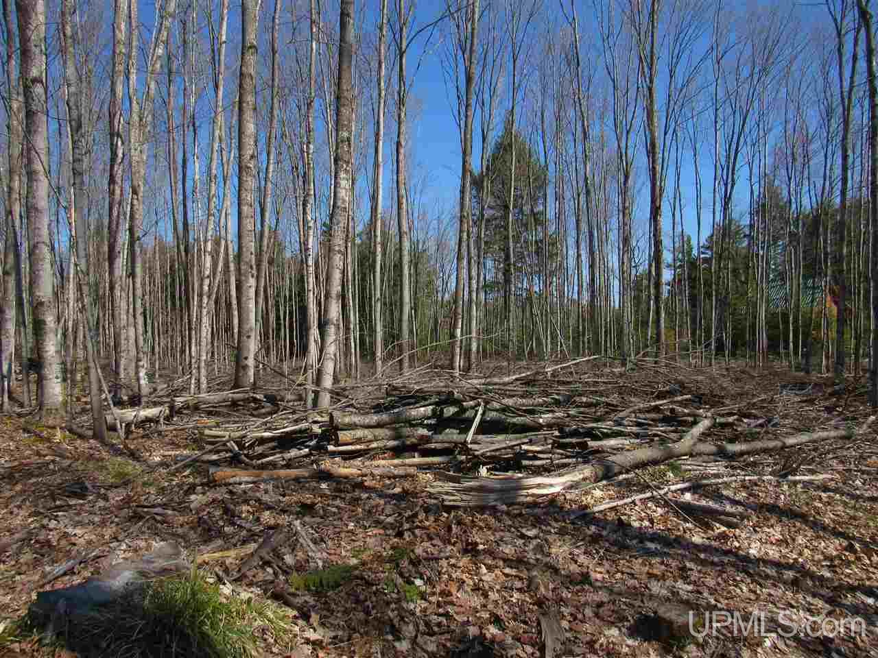 N2510 Co Rd Kch Big Bay, MI 49808 - Photo 14 of 39