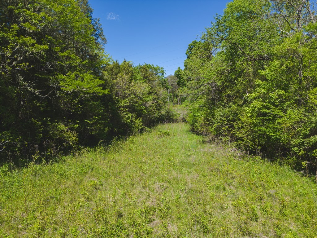 44 Rocky Valley Road New Market, TN 37820 - Photo 40 of 49 Gallery Image 40