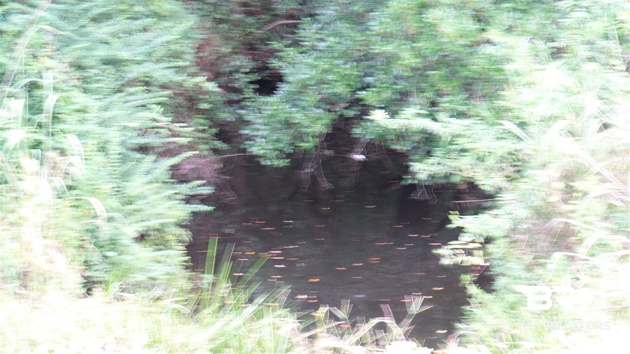 16851 Highway 182 Jay, FL 32565 - Photo 13 of 23