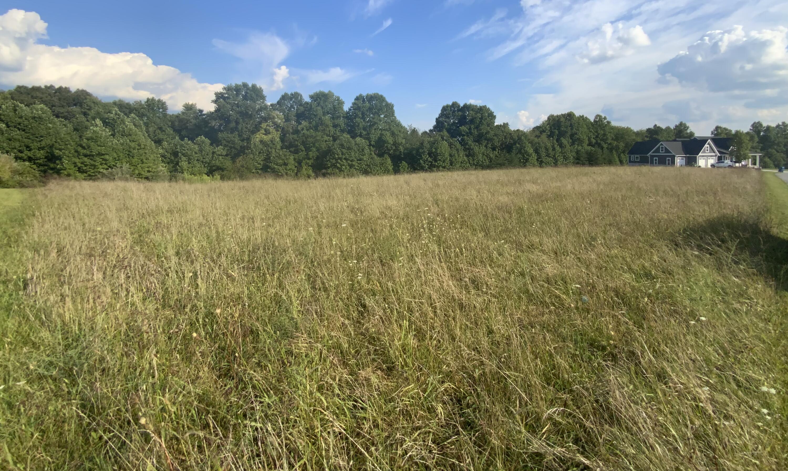Lot #8 Pleasant Ridge Strunk, KY 42649 - Photo 3 of 4 IMG_9941
