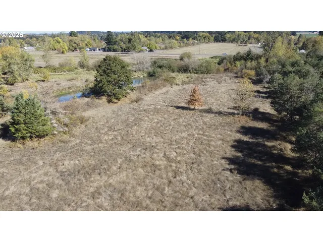 a open area with green field and trees