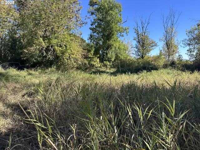 $300,000 | 0 8th Avenue, Monroe, OR 97456