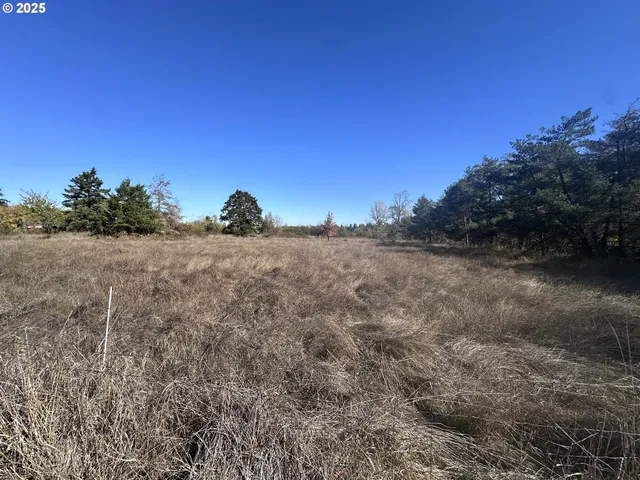 a view of a field with trees in background
