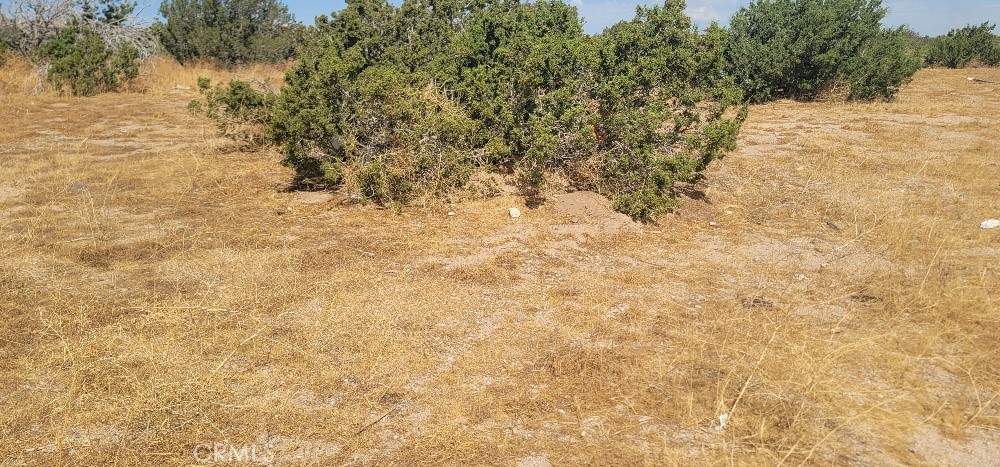 0 Unkn Own Indio, CA 92201 - Photo 2 of 3 a view of snow covered with snow in the background