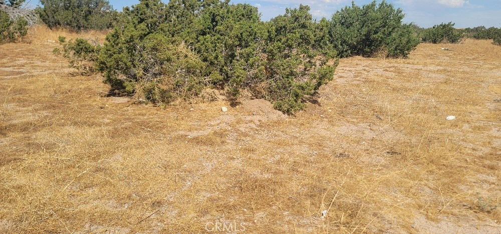 0 Unkn Own Indio, CA 92201 - Photo 3 of 3 a view of snow covered with snow in the background