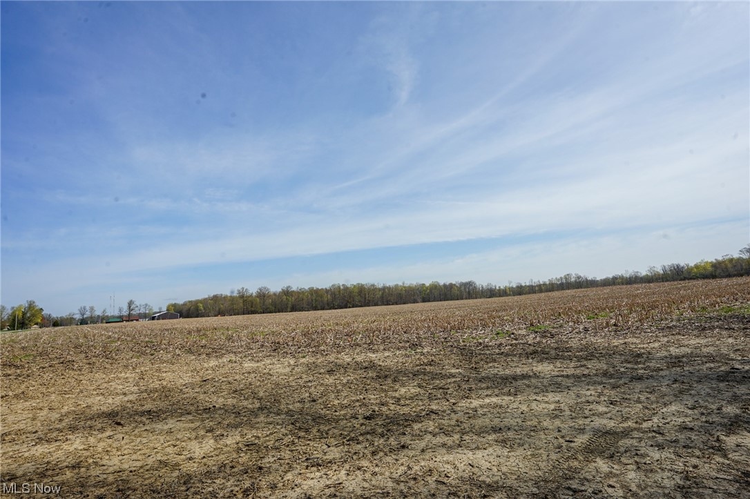 Vesta Road Wakeman, OH 44889 - Photo 2 of 22