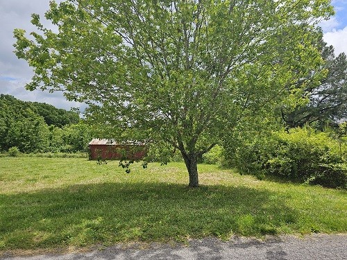 11180 New Cut Off Road Bon Aqua, TN 37025 - Photo 10 of 16 Gallery Image 10