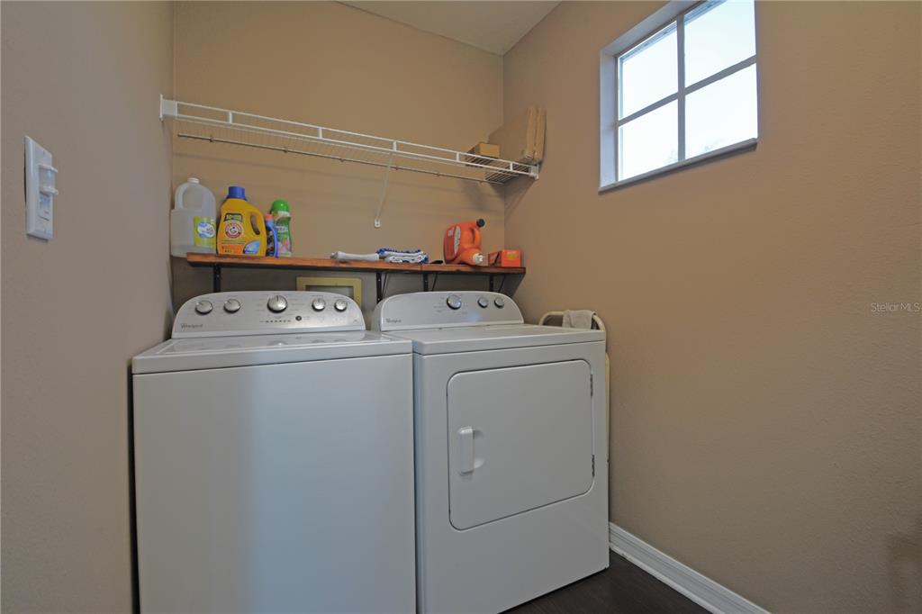 5521 Turtle Crossing Loop Tampa, FL 33625 - Photo 43 of 54